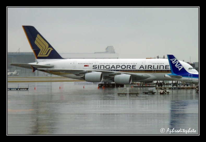Singapor Airlines - Airbus A380
